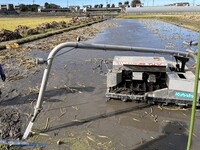 土の中のくわいを水圧で掘り起こしていきます。